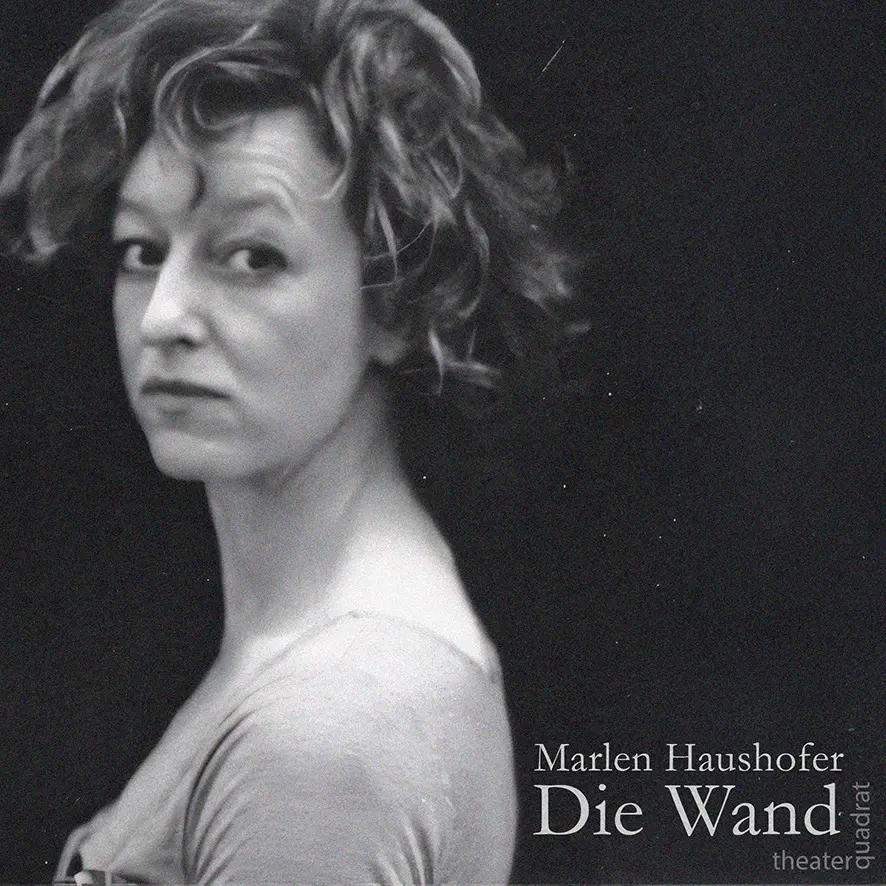 Die Wand – Flyer